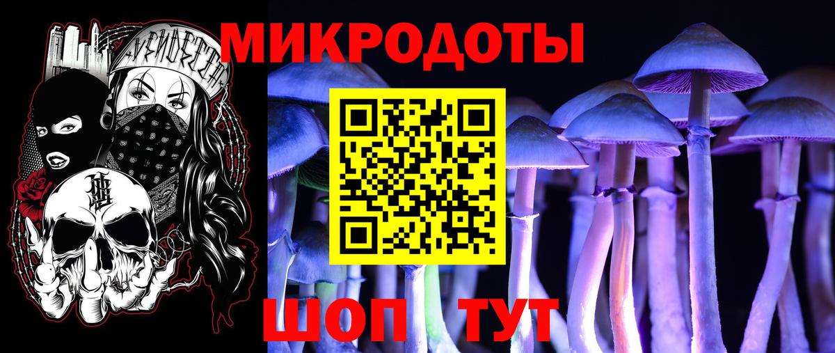 Галлюциногенные грибы GOLDEN TEACHER Лабинск